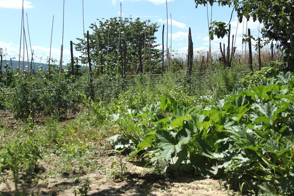 Tenuta La Santissima San Rocco a Pilli Exteriér fotografie